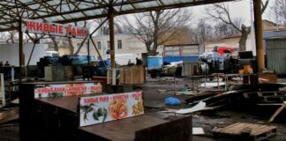 Реконструкция «Привоза»: что происходит на рынке и куда переехали рыбные ряды. Фото