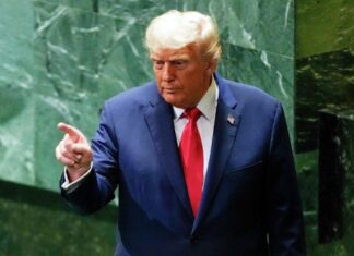 Трамп готовит новые тарифы: под ударом лекарства, грузовики и мебель