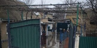 В Одесской области подтопило частные дома: подробности от спасателей